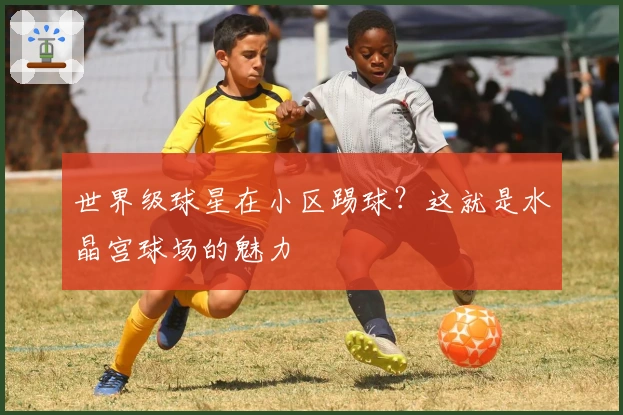 世界级球星在小区踢球？这就是水晶宫球场的魅力